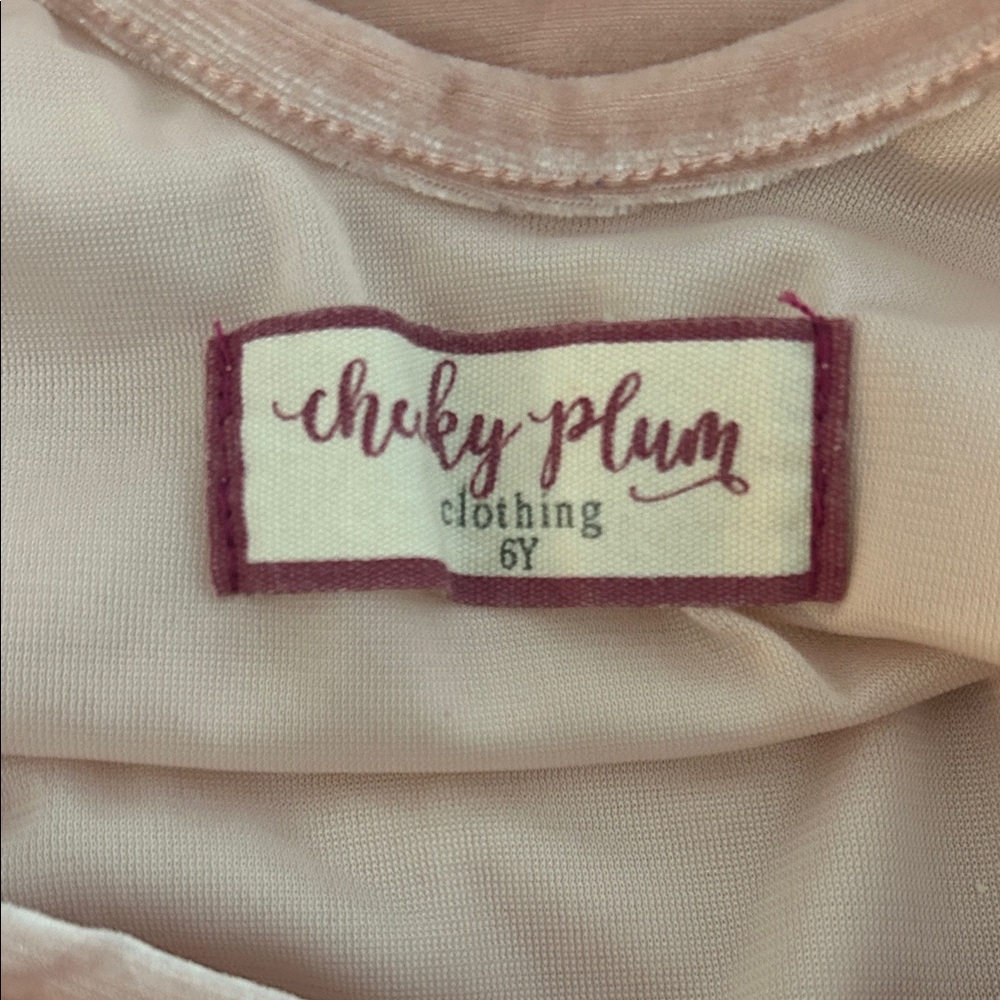 Cheeky Plum Blush Velvet Leotard - Picture 2 of 4